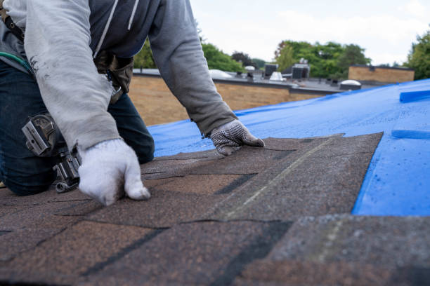 Best Shingle Roofing Installation  in Lower Lake, CA
